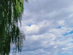 -后海公园
