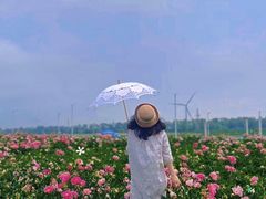 -小洋口旅游度假区