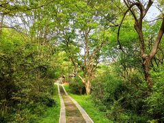 -青龙山国家森林公园