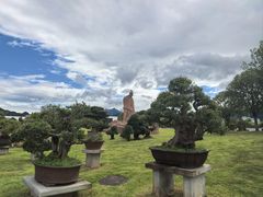 -炎帝陵景区