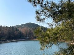 -四明山国家森林公园