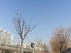 -DQ·蛋糕·冰淇淋(天通苑华联店)