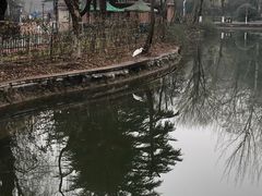 -西安市长乐公园