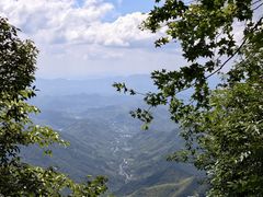 -天目山大树王景区