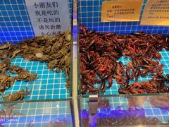 水产区-加尔森烤肉海鲜·火锅烧烤自助