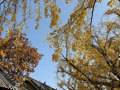 -浮来山风景区