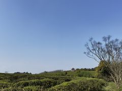 -凤凰沟景区