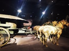 -秦始皇帝陵博物院-丽山园