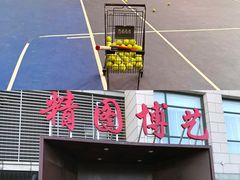 -齐动力网球培训(六里桥威尼斯基地)