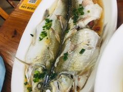 太湖白鱼-美味之家·湖景农家乐(太湖东山店)