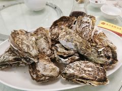 蒸汽生蚝-德兴海鲜渔港(辉煌大厦店)