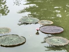 -国家植物园南园