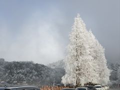 -三江森林温泉度假区