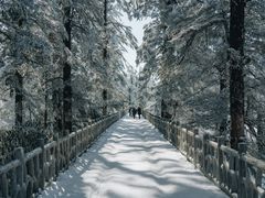 -瓦屋山景区