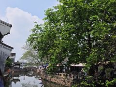 -鸣鹤古镇