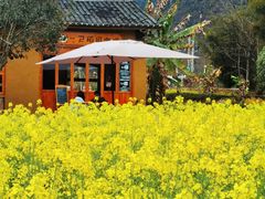 -碧莲江景大酒店