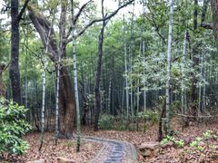 -宝岩生态观光园