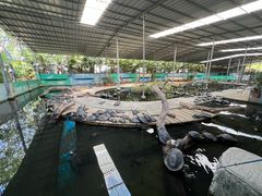 -广州长隆飞鸟乐园
