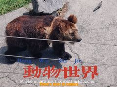 -成都动物园