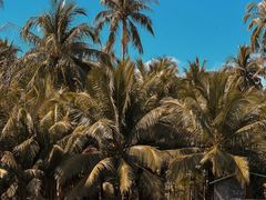 -三亚南山文化旅游区