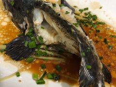 石斑鱼-叶姐海鲜(棋子湾店)