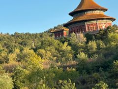 -普乐寺