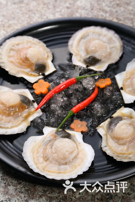 豪品台湾铜盘火锅深海扇贝图片 - 第16张