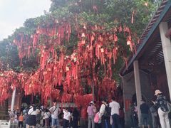 -国恩寺