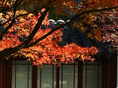 -狼山风景名胜区