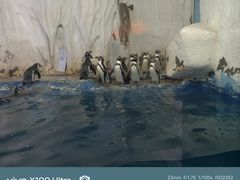 -太平洋海底世界