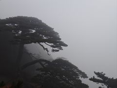 -黄山玉屏楼宾馆餐厅