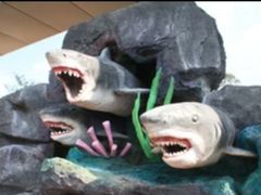 -青鱼湾水上乐园