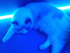 -零纪元VR体验馆·桌游(黄浦店)