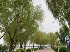 -丁香湖公园