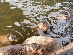 -华夏文旅海洋公园