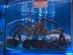 -协成海鲜火锅(海洋花园店)