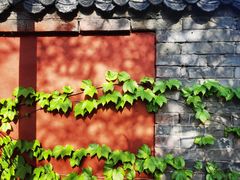 -红螺寺