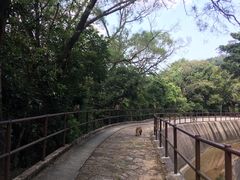 -狮子山郊野公园