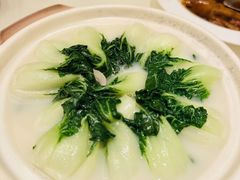 浓鸡汤春菜苗-利苑酒家(合景国际金融广场店)
