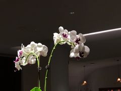 -雲說·花(西宸天街店)