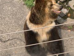 -成都动物园
