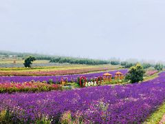 -草原天路(张北县)