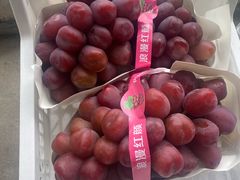 -马陆小张葡萄园农家乐