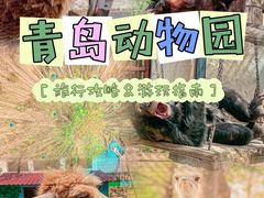 -青岛动物园