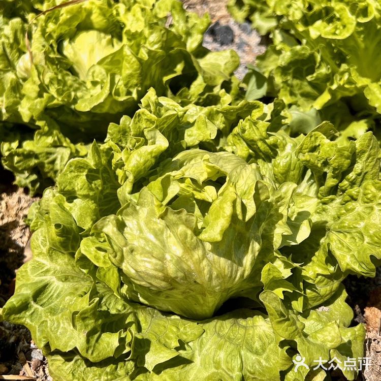 感谢！吃到了藏到OMG心跳乐园附近桐庐农家菜