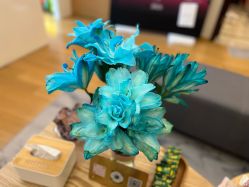 -ROYEA茹彦祛痘·问题肌肤修护中心
