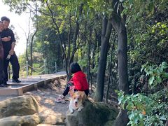 -南山植物园