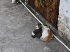 -煲煲掂风味煲仔饭餐厅(西区店)