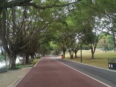 -南宁南湖公园