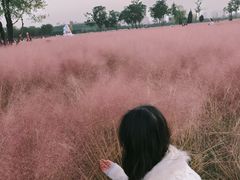 -汉长安城未央宫国家考古遗址公园